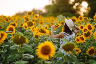 Gün batımında elinde ayçiçekleriyle tarlada gezinen güzel bir kadın. Kırsal ve mutlu bir hayat. Doğa, rahatla ve yaşam tarzı.
