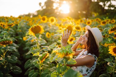 Gün batımında elinde ayçiçekleriyle tarlada gezinen güzel bir kadın. Kırsal ve mutlu bir hayat. Doğa, rahatla ve yaşam tarzı.