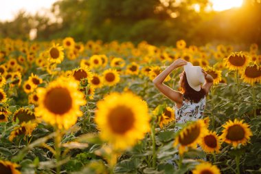 Gün batımında elinde ayçiçekleriyle tarlada gezinen güzel bir kadın. Kırsal ve mutlu bir hayat. Doğa, rahatla ve yaşam tarzı.