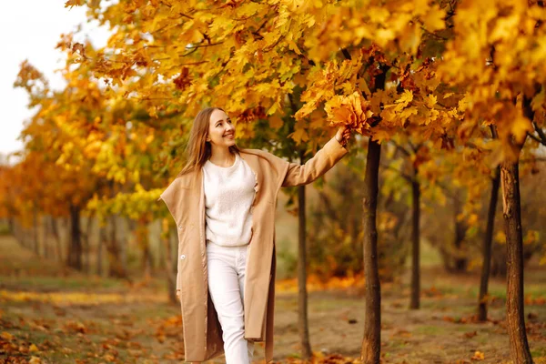 Young Woman Having Fun Throwing Leaves Autumn City Park Lifestyle — Stock Photo, Image