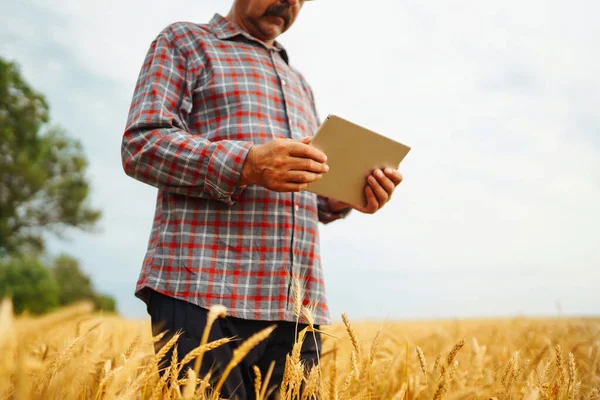 Koncepcja Inteligentnego Rolnictwa Farmer Używa Specjalistycznej Aplikacji Tablecie Cyfrowym Sprawdzania — Zdjęcie stockowe
