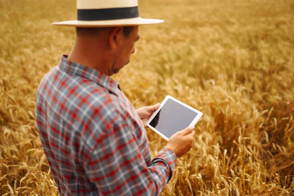 Smart Farming Konzept Der Landwirt Nutzt Eine Spezialisierte App Auf — Stockfoto
