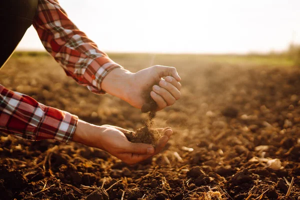 Manliga Händer Vidrör Jorden Fältet Jordbrukare Kontrollerar Markens Kvalitet Före — Stockfoto