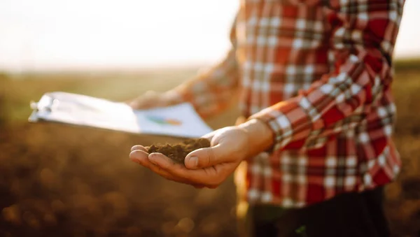 Egy Közeli Kép Fiatal Farmerről Amint Diagramokat Néz Növekedési Dinamika — Stock Fotó