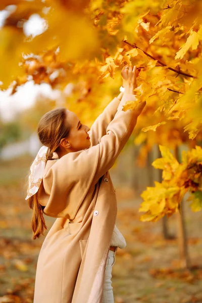 公園で秋の黄色の葉で楽しく遊んでいる幸せな女性 ライフスタイル リラックスして 自然概念 秋の風 — ストック写真