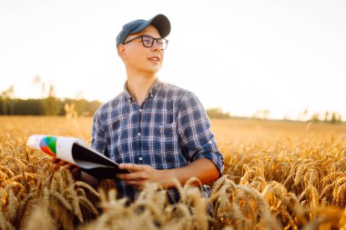 A young farmer in a checkered shirt with a digital tablet works in a field. An agronomist checks the quality and growth of the crop at sunset. Gardening concept, harvesting.