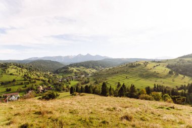 Rolling green hills stretch toward distant mountains in the rays of sunset. A peaceful landscape of lush mountain hills. Concept of view and nature.