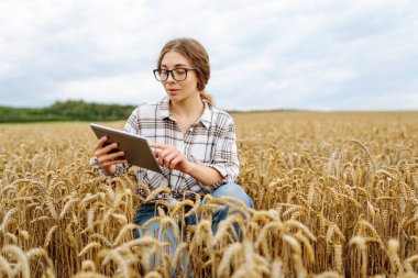 Altın buğday tarlasında gün batımında dijital tabletli bir kadın çiftçi. Deneyimli kadın tarım uzmanı, modern teknolojiyi kullanarak mahsulün kalitesini kontrol ediyor. Çiftçilik ve tarım kavramı.