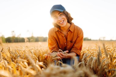 Genç dişi çiftçinin tarladaki altın tahıl başaklarını incelediği yakın plan. Deneyimli tarım uzmanı mahsulün kalitesini ölçer ve gün batımında buğdaya dokunur. Cömert hasat ve tarım kavramı.