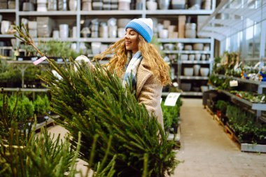 Şapkalı genç bir kadın markette Noel ağacı seçiyor. Sıcak palto ve şapkalı neşeli kadın, tatil için ağaç seçiyor. Tüketim, kutlama ve pazar yeri kavramları.