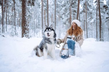 Güzel bir kadın kış ormanında Sibirya kabuğuyla eğleniyor. Genç bir kadın ve köpeği karlı ormanın tadını çıkarıyorlar. Arkadaşlık, eğlence ve rahatlama kavramı. Yaşam biçimi.