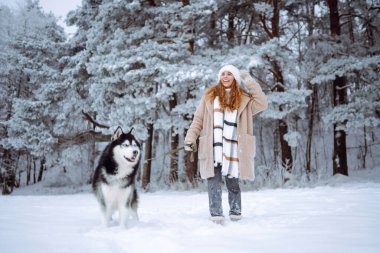 Güzel bir kadın kış ormanında Sibirya kabuğuyla eğleniyor. Genç bir kadın ve köpeği karlı ormanın tadını çıkarıyorlar. Arkadaşlık, eğlence ve rahatlama kavramı. Yaşam biçimi.
