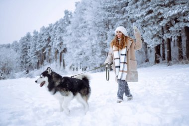 Güzel bir kadın kış ormanında Sibirya kabuğuyla eğleniyor. Genç bir kadın ve köpeği karlı ormanın tadını çıkarıyorlar. Arkadaşlık, eğlence ve rahatlama kavramı. Yaşam biçimi.