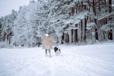 Güzel bir kadın kış ormanında Sibirya kabuğuyla eğleniyor. Genç bir kadın ve köpeği karlı ormanın tadını çıkarıyorlar. Arkadaşlık, eğlence ve rahatlama kavramı. Yaşam biçimi.