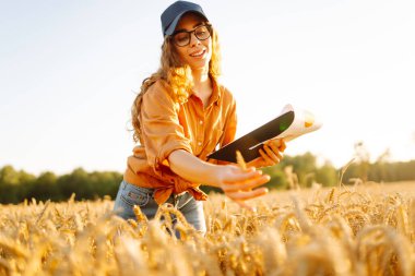 Gözlük takan dişi bir çiftçi güneş ışınlarında tabletle tarlada duruyor. Tabletli genç kadın tarım uzmanı gün batımında altın buğday hasadını denetliyor. Bahçe ve tarım kavramı.