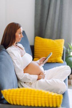 Genç hamile bir kadın rahat bir odada telefonu ile kanepede oturuyor. Hamile bir kadın oturma odasında telefonuyla mesajlaşıp rahatlıyor. Konfor, teknoloji ve blog konsepti.