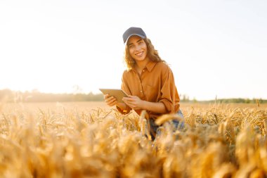 Bir dişi çiftçi elinde dijital tabletle buğday tarlasında duruyor. Genç bir dişi tarım uzmanı buğday saplarını tabletle tarlada inceliyor. Tarım kavramı, bol hasat..