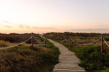 Tahta bir patika, güneş ışınlarının altındaki yeşil kumulların arasından esiyor. Denizle birlikte sakin bir manzara. Deniz kıyısının sakin bir manzarası. Konsept, doğanın, dinlenmenin ve güneşin doğuşunun bir parçasıdır..