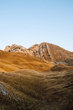 Güneş ışığıyla yıkanmış yuvarlanan bir tepe sakin bir atmosfer yaratır. Yumuşak çimenler rüzgarda yavaşça sallanıyor dağların arka planında. Kavram: Doğa, güzellik.