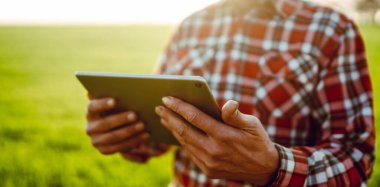 Arkadan bak. Bir çiftçi elinde dijital tabletle yeşil alanda duruyor. Agronomist güneşli bir günde tarlada çalışır, büyüme ve kaliteyi kontrol eder. Bahçıvanlık kavramı, teknoloji. Tarım.