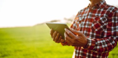 Arkadan bak. Bir çiftçi elinde dijital tabletle yeşil alanda duruyor. Agronomist güneşli bir günde tarlada çalışır, büyüme ve kaliteyi kontrol eder. Bahçıvanlık kavramı, teknoloji. Tarım.