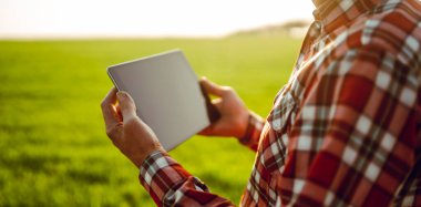 Arkadan bak. Bir çiftçi elinde dijital tabletle yeşil alanda duruyor. Agronomist güneşli bir günde tarlada çalışır, büyüme ve kaliteyi kontrol eder. Bahçıvanlık kavramı, teknoloji. Tarım.