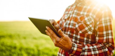 Arkadan bak. Bir çiftçi elinde dijital tabletle yeşil alanda duruyor. Agronomist güneşli bir günde tarlada çalışır, büyüme ve kaliteyi kontrol eder. Bahçıvanlık kavramı, teknoloji. Tarım.
