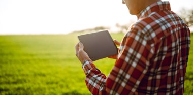Arkadan bak. Bir çiftçi elinde dijital tabletle yeşil alanda duruyor. Agronomist güneşli bir günde tarlada çalışır, büyüme ve kaliteyi kontrol eder. Bahçıvanlık kavramı, teknoloji. Tarım.