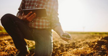 Elinde dosya olan deneyimli bir çiftçi ekmeden önce toprak kalitesini kontrol eder. Kareli gömlekli bir tarımcı, elinde kara toprak örneği olan bir tarlada çalışır. Bahçe ve ekoloji kavramı.