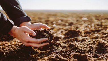 Hand of expert farmer collect soil. Farmer is checking soil quality before sowing. Ecology concept.