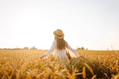 Hasır şapkalı, altın buğday tarlalarında yürüyen genç bir kadının dikiz görüntüsü. Tarladaki güzel bir kadın kendini özgür hissediyor ve günbatımının tadını çıkarıyor. Moda, güzellik ve doğa kavramı.