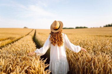Hasır şapkalı, altın buğday tarlalarında yürüyen genç bir kadının dikiz görüntüsü. Tarladaki güzel bir kadın kendini özgür hissediyor ve günbatımının tadını çıkarıyor. Moda, güzellik ve doğa kavramı.