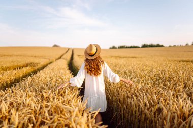 Hasır şapkalı, altın buğday tarlalarında yürüyen genç bir kadının dikiz görüntüsü. Tarladaki güzel bir kadın kendini özgür hissediyor ve günbatımının tadını çıkarıyor. Moda, güzellik ve doğa kavramı.