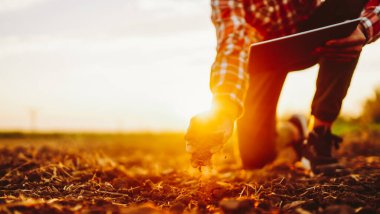 Bir sebze tohumu yetiştirmeden önce toprak ve toprak sağlığını kontrol eden uzman çiftçinin eli.