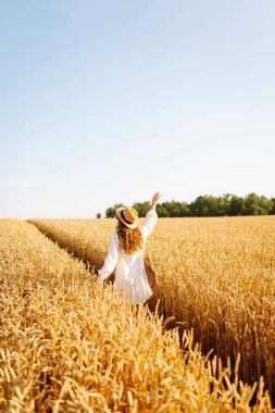 Beyaz elbiseli ve hasır şapkalı bir kadın güneşli bir günde altın buğday tarlasında geziniyor. Güzel kadın gün batımında özgür hissederek doğanın tadını çıkarıyor. Kavram: güzellik, tarz ve kırsal.