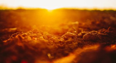 Güneş ışığı gün batımında kahverengi toprağı aydınlatır. Zemin küçük taşlar ve toprakla kaplı. Bu da güzel bir günbatımı yaratıyor. Fotoğraf, dünyanın renklerini ve dokularını yakalar..