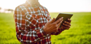 Gün batımında elinde dijital tablet olan yeşil bir tarla çiftçisinin yakın çekimi. Bir tarım uzmanı dijital tablet üzerinde çalışır ve ürün büyümesini kontrol eder. Çiftçilik ve teknoloji kavramları.
