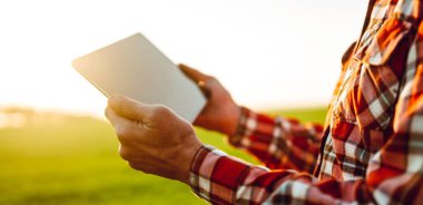 Gün batımında elinde dijital tablet olan yeşil bir tarla çiftçisinin yakın çekimi. Bir tarım uzmanı dijital tablet üzerinde çalışır ve ürün büyümesini kontrol eder. Çiftçilik ve teknoloji kavramları.