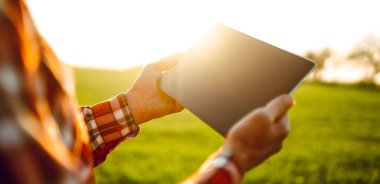 Gün batımında elinde dijital tablet olan yeşil bir tarla çiftçisinin yakın çekimi. Bir tarım uzmanı dijital tablet üzerinde çalışır ve ürün büyümesini kontrol eder. Çiftçilik ve teknoloji kavramları.