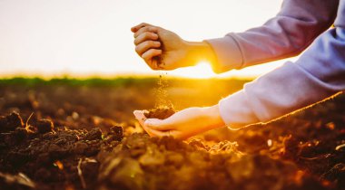 Batan güneşin altındaki bir tarlada iki el kara toprağı kavrıyor. Sahne, toprağa ekme hazırlıklarını gösteriyor. Bu an doğayla olan bağlantıyı vurgular..