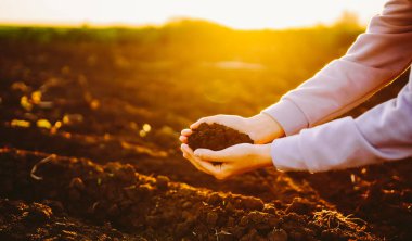 Batan güneşin altındaki bir tarlada iki el kara toprağı kavrıyor. Sahne, toprağa ekme hazırlıklarını gösteriyor. Bu an doğayla olan bağlantıyı vurgular..