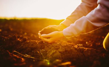 Batan güneşin altındaki bir tarlada iki el kara toprağı kavrıyor. Sahne, toprağa ekme hazırlıklarını gösteriyor. Bu an doğayla olan bağlantıyı vurgular..