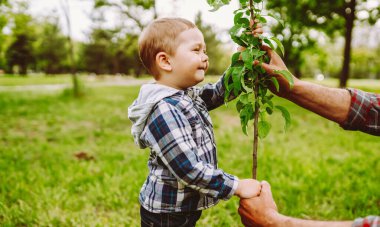 Soy ağacı dikiyorum. Küçük çocuk, büyükbabasının ağaç dikmesine yardım ediyor. Eğlenceli küçük bahçıvan. Bahar konsepti.