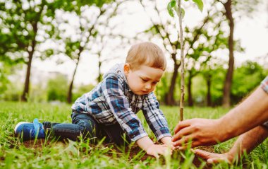 Soy ağacı dikiyorum. Küçük çocuk, büyükbabasının ağaç dikmesine yardım ediyor. Eğlenceli küçük bahçıvan. Bahar konsepti.