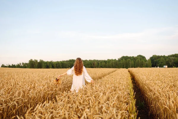 Şapkalı tatlı bir kadın gün batımında buğday tarlasında duruyor. Güzel bir kadın gün batımından zevk alır ve bir çiftlik arazisinde gezinir. Güzellik kavramı, doğa.
