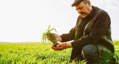 Bir insan gün batımında elinde kökleri olan çimleri tutarak yeşil bir tarlada duruyor. Arka planda güneş ışıl ışıl parlıyor, sahne üzerine sıcak bir ışık yansıtıyor.