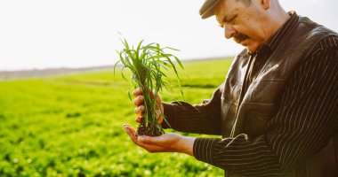 Bir insan gün batımında elinde kökleri olan çimleri tutarak yeşil bir tarlada duruyor. Arka planda güneş ışıl ışıl parlıyor, sahne üzerine sıcak bir ışık yansıtıyor.