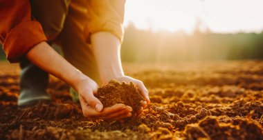 Bir tarım uzmanı çamurlu bir alanda diz çöker, elinde toprak tutar. Güneş ışığı ağaçların arasından süzülüp, sıcak bir parıltı yaratır. Bu sahne, dünyayla tek bir anı yakalar..