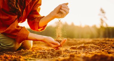 Bir tarım uzmanı çamurlu bir alanda diz çöker, elinde toprak tutar. Güneş ışığı ağaçların arasından süzülüp, sıcak bir parıltı yaratır. Bu sahne, dünyayla tek bir anı yakalar..
