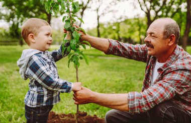Bir büyükbaba ve torunu parkta otururken neşeyle burunlarına dokunurlar. Güneşli bir öğleden sonra yeşil çimenler ve ağaçlarla çevrilidir..